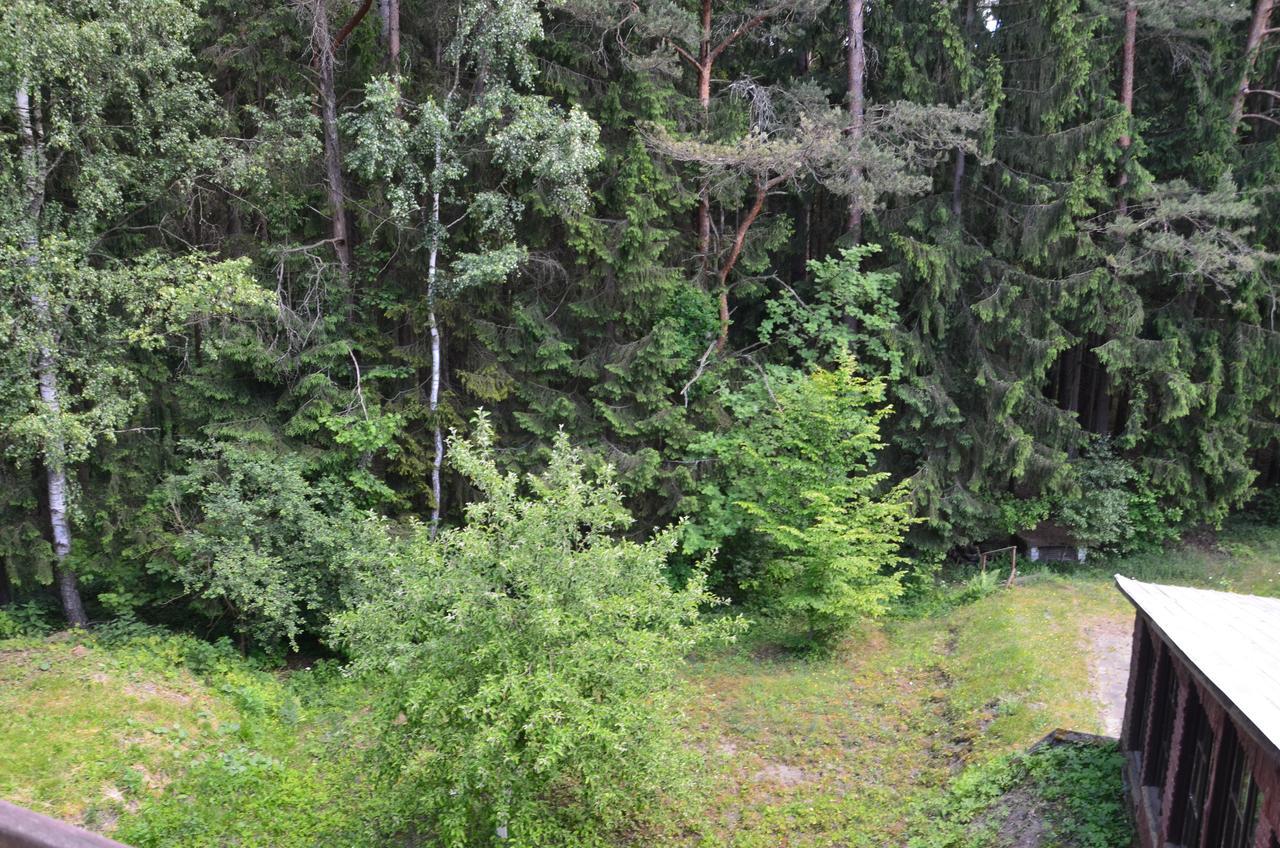 Zajazd Lesny Czarna Bialostocka Bagian luar foto
